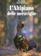 Copertina  L'altipiano delle meraviglie