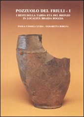 Copertina  I resti della tarda età del bronzo in località Braida Roggia 1