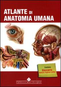 LIBRO CARTONATI SCARICARE