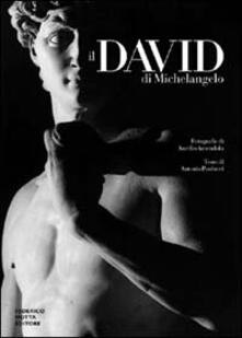 Il David di Michelangelo.pdf