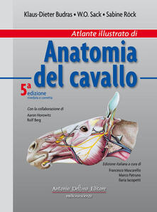 Atlante illustrato di anatomia del cavallo. Ediz. illustrata.pdf