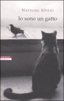 www. nero teen micio