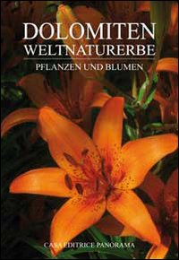 Dolomiten weltnaturerbe. Pflanzen und blumen