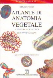 Copertina  Atlante di anatomia vegetale : la struttura microscopica delle piante vascolari
