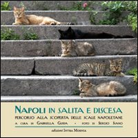 Napoli in salita e discesa. Percorso alla scoperta delle scale napoletane Scarica PDF EPUB
