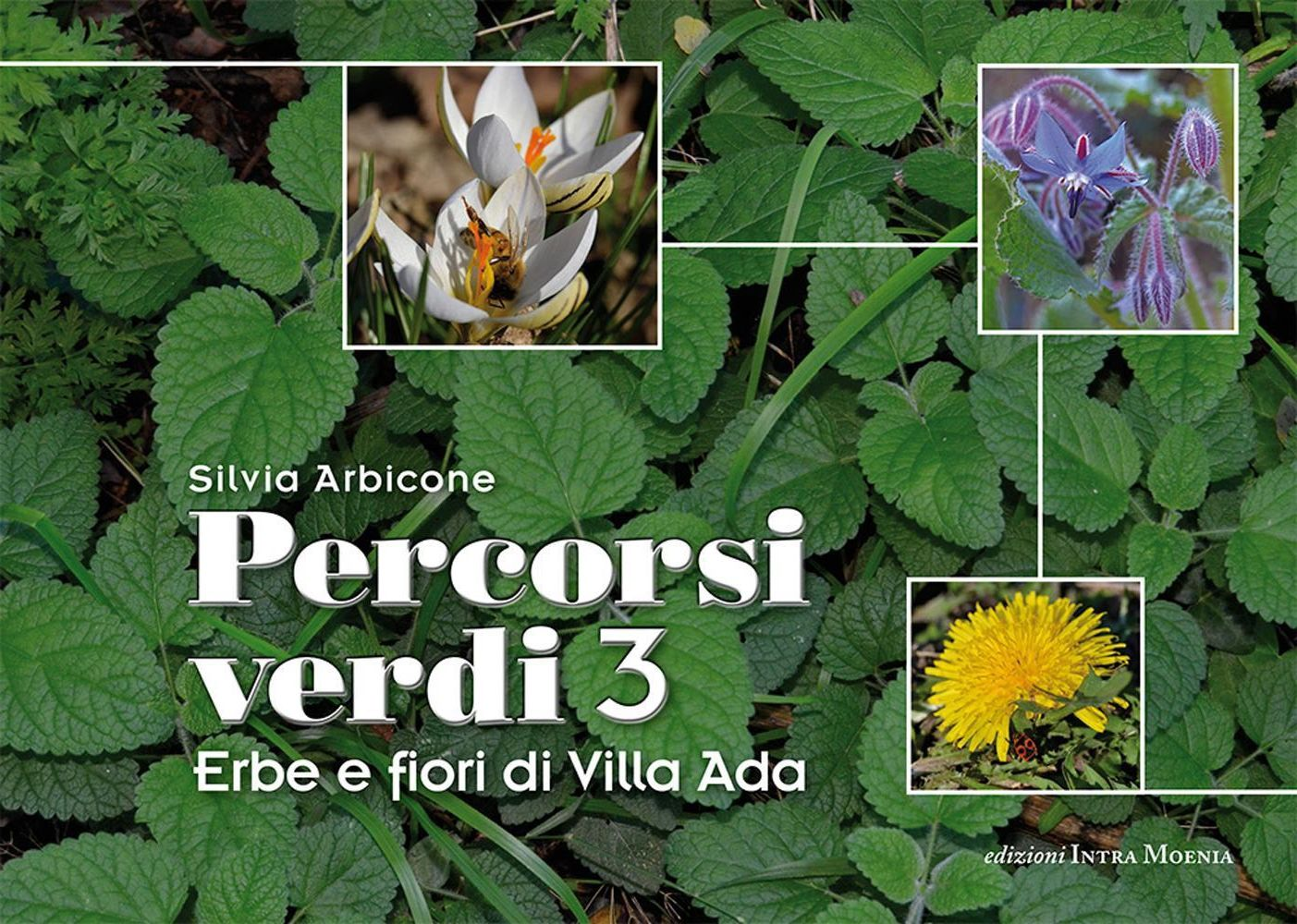 Percorsi verdi. Incontri con gli alberi di Villa Ada. Vol. 3