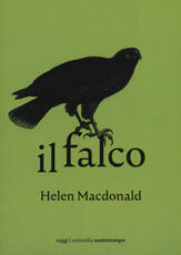 Libro Il falco Helen MacDonald