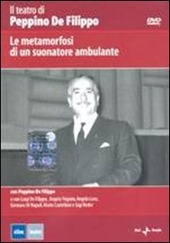 Copertina  Le metamorfosi di un suonatore ambulante