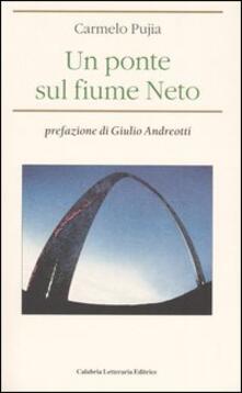 Un ponte sul fiume Neto.pdf