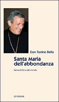 Santa Maria dell'abbondanza Scarica PDF EPUB
