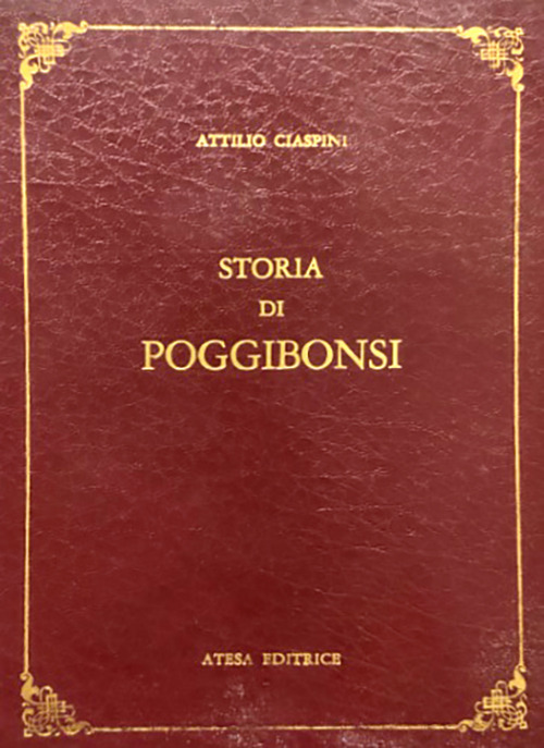 Image of Storia di Poggibonsi. Notizie diverse cronologicamente disposte per servire alla Storia di Poggibonsi. (rist. anast. Siena, 1850)