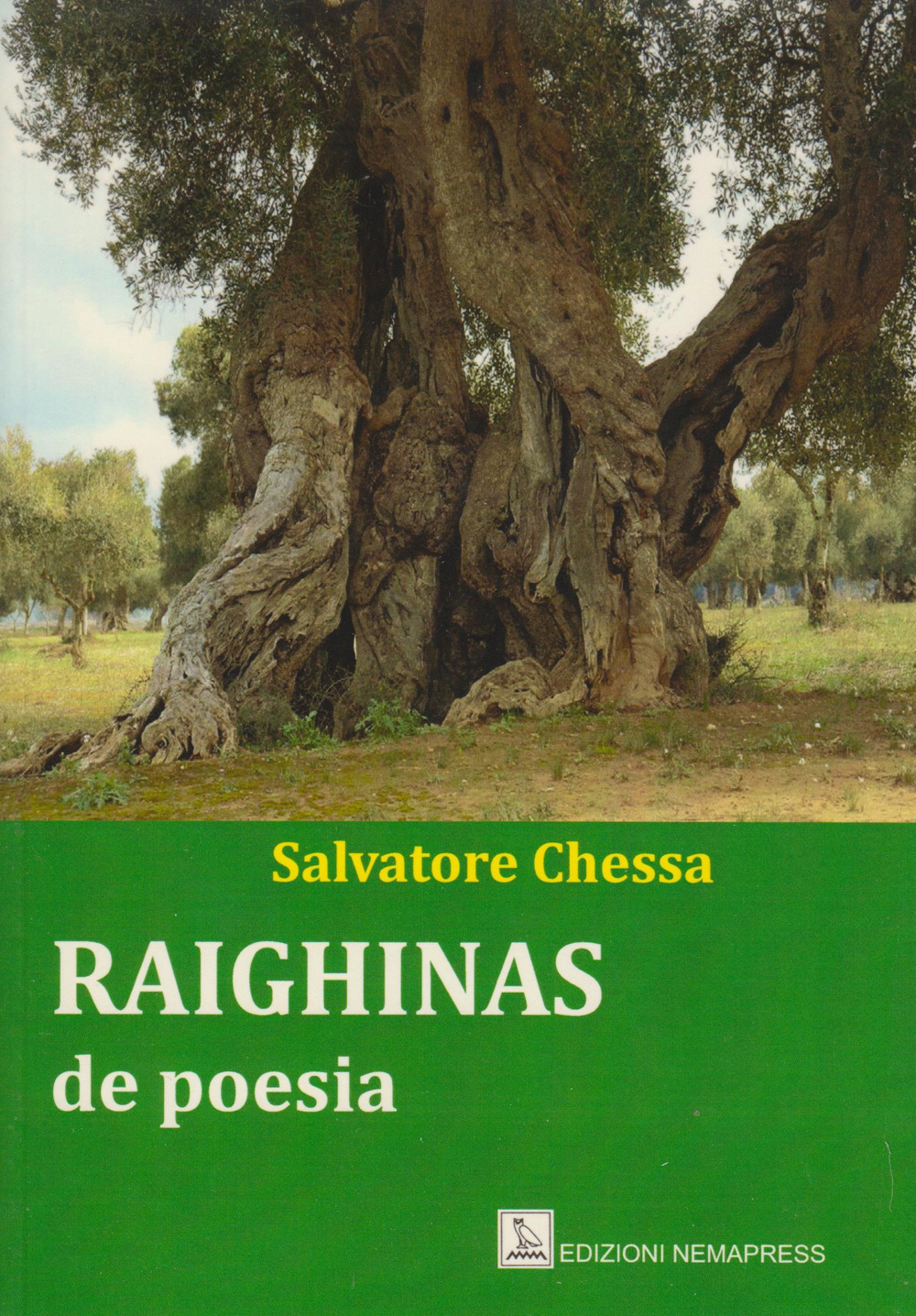 Image of Raighinas de poesia