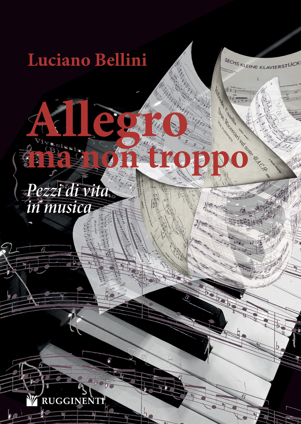 Image of Allegro, ma non troppo. Pezzi di vita in musica