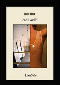 Canti ostili Scarica PDF EPUB
