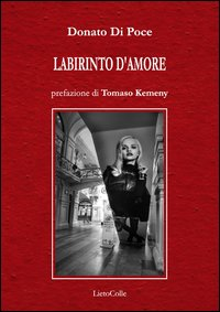 Labirinto d'amore Scarica PDF EPUB
