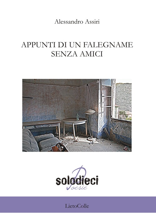 Appunti di un falegname senza amici Scarica PDF EPUB
