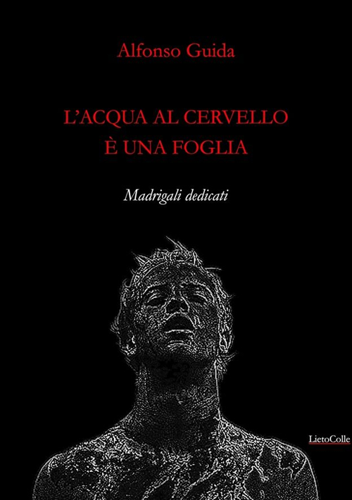 L' acqua al cervello è una foglia Scarica PDF EPUB
