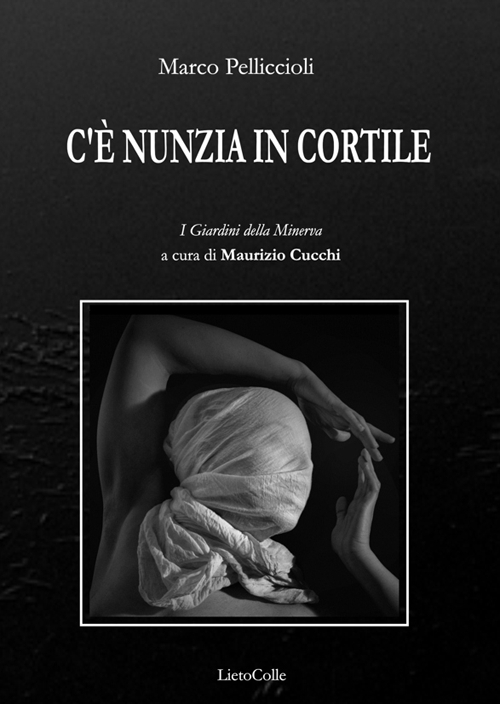 C'è Nunzia in cortile Scarica PDF EPUB
