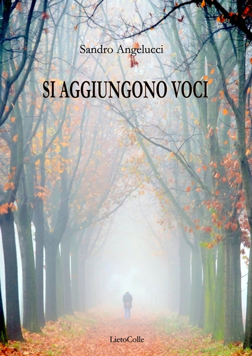 Si aggiungono voci Scarica PDF EPUB
