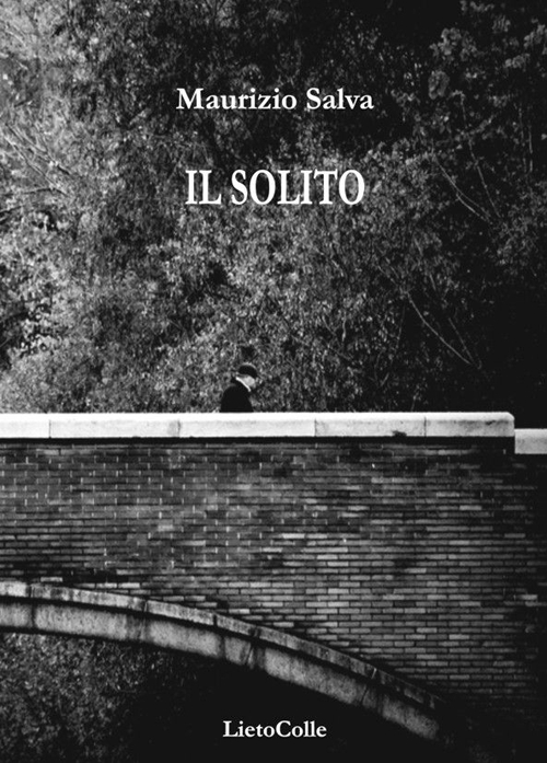 Il solito Scarica PDF EPUB
