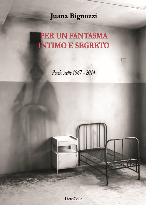 Per un fantasma intimo e segreto. Testo spagnolo a fronte Scarica PDF EPUB
