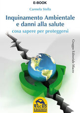Immagine di ebook/