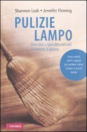 Copertina  Pulizie lampo