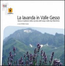 La lavanda in Valle Gesso.pdf