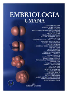 Winniearcher.com Embriologia umana Image