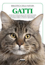 Libro Gatti. Ediz. illustrata