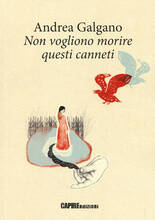 Libro Non vogliono morire questi canneti Andrea Galgano