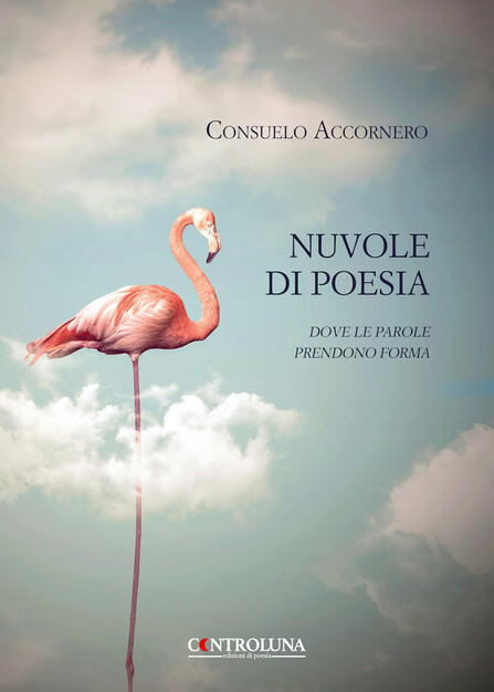 Nuvole Di Poesia Dove Le Parole Prendono Forma Consuelo Accornero Libro Controluna Ibs