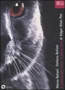 Libro Il rumore del cuore-Il gatto nero. Con CD Audio Edgar Allan Poe Marco Baliani Stefano Bollani