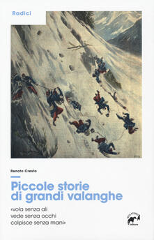 Piccole storie di grandi valanghe.pdf