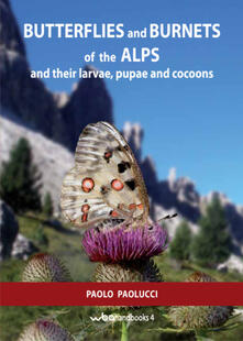 Butterflies and burnets of the Alps and their larvae, pupae and cocoons.pdf