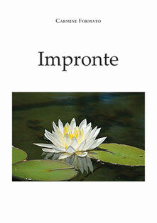 Impronte.pdf
