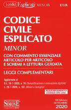 Libro Codice civile esplicato. Con commento essenziale articolo per articolo e schemi a lettura guidata. Leggi complementari