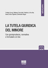 Libro La tutela giuridica del minore Cristina Cerrai Stefania Ciocchetti Patrizia La Vecchia