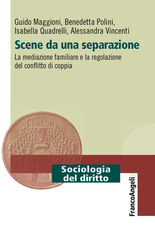 Libro Scene da una separazione. La mediazione familiare e la regolazione del conflitto di coppia Guido Maggioni Benedetta Polini Isabella Quadrelli