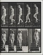 Libro Enciclopedia delle arti contemporanee. I portatori del tempo. Il tempo inclinato