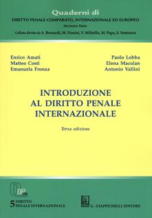 Introduzione al diritto penale internazionale.pdf