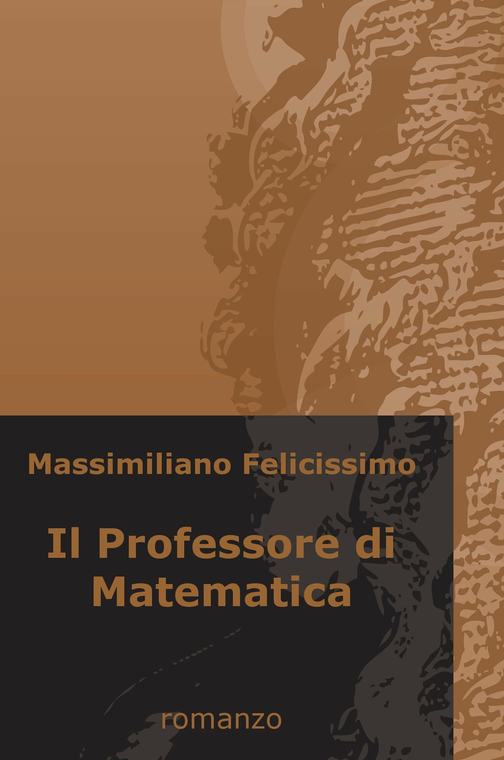 Image of Il professore di matematica
