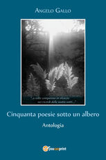 Libro Cinquanta poesie sotto un albero Angelo Gallo