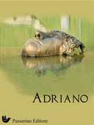 Immagine di ebook/