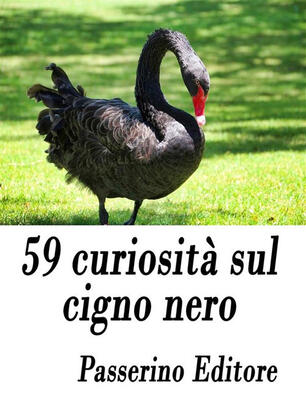 scarica testo cigno nero