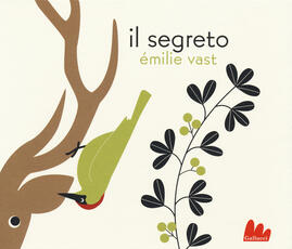 Libro Il segreto. Ediz. illustrata Émilie Vast