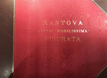 Mantova città nobilissima figurata. Ediz. illustrata.pdf