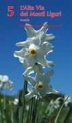Immagine di ebook/