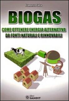 Biogas. Come ottenere energia alternativa.pdf