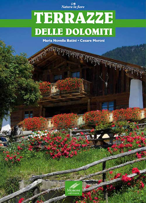 Image of Terrazze delle Dolomiti